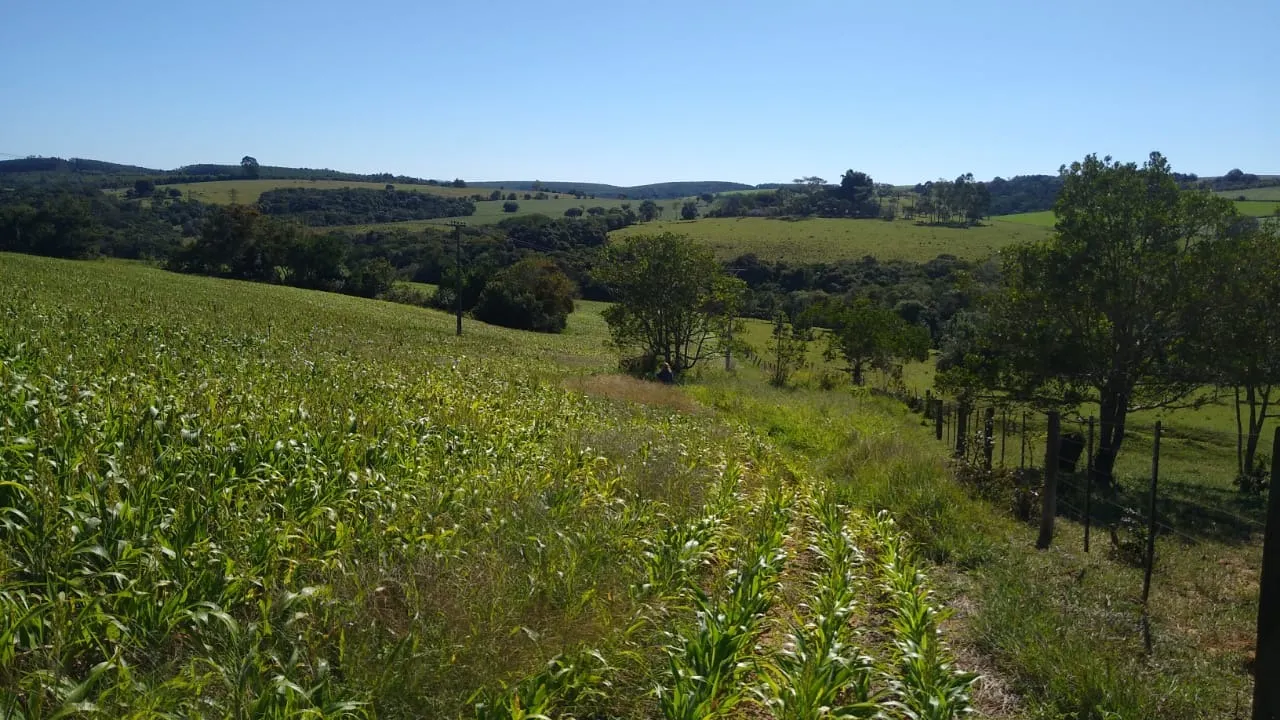 Sítio à venda de 15 ha em Itapetininga, SP, Brasil
