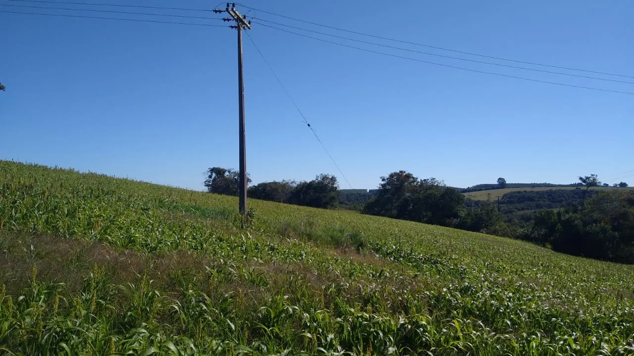 Sítio à venda de 15 ha em Itapetininga, SP, Brasil