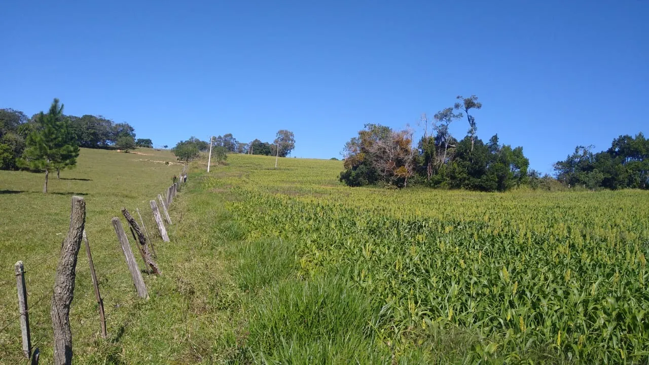Sítio à venda de 15 ha em Itapetininga, SP, Brasil