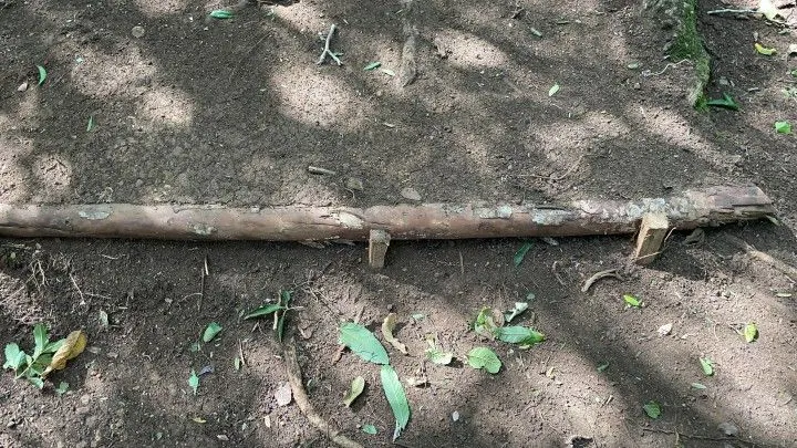 Chácara à venda de 3.900 m² em Santo Antônio da Patrulha, RS, Brasil