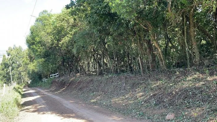 Chácara à venda de 3.900 m² em Santo Antônio da Patrulha, RS, Brasil