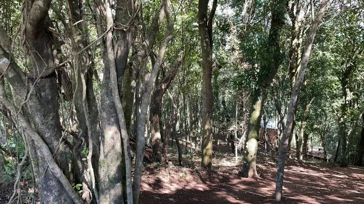 Chácara à venda de 3.900 m² em Santo Antônio da Patrulha, RS, Brasil