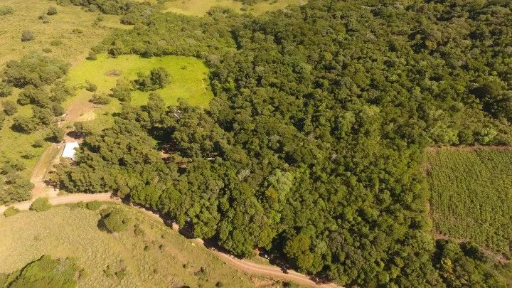 Chácara à venda de 3.900 m² em Santo Antônio da Patrulha, RS, Brasil