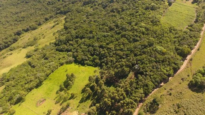Chácara à venda de 3.900 m² em Santo Antônio da Patrulha, RS, Brasil