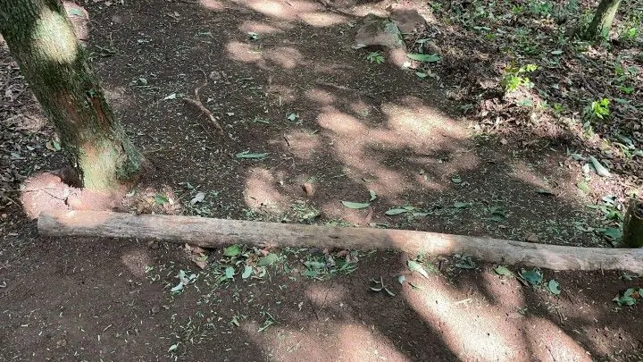 Chácara à venda de 3.900 m² em Santo Antônio da Patrulha, RS, Brasil