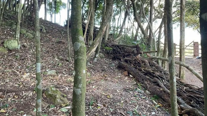 Chácara à venda de 3.900 m² em Santo Antônio da Patrulha, RS, Brasil