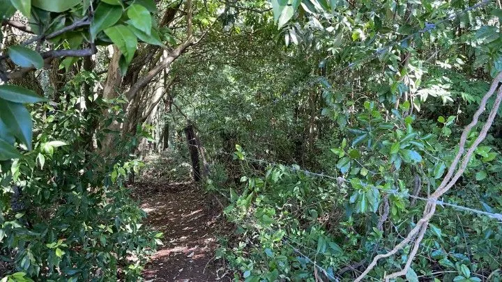 Chácara à venda de 3.900 m² em Santo Antônio da Patrulha, RS, Brasil
