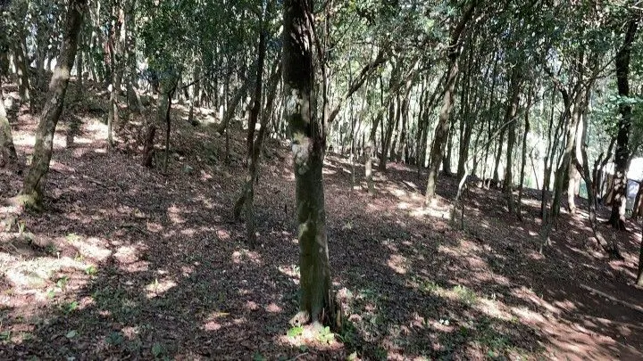 Chácara à venda de 3.900 m² em Santo Antônio da Patrulha, RS, Brasil