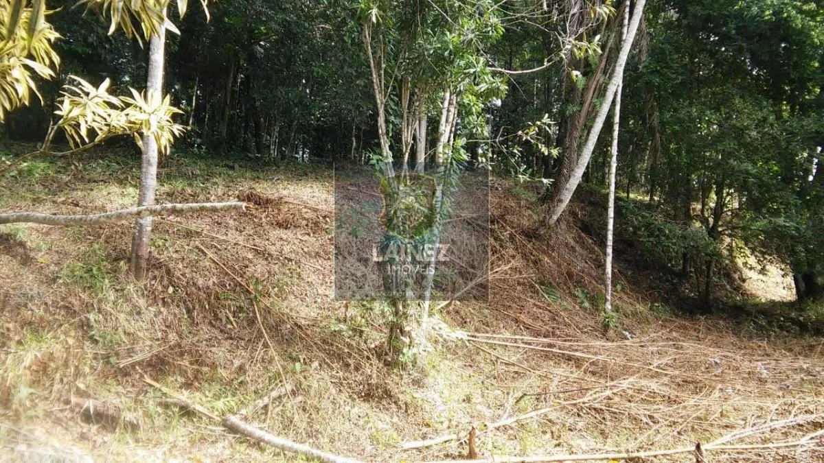 Small farm for sale of 120 acres in Iguape, SP, Brazil