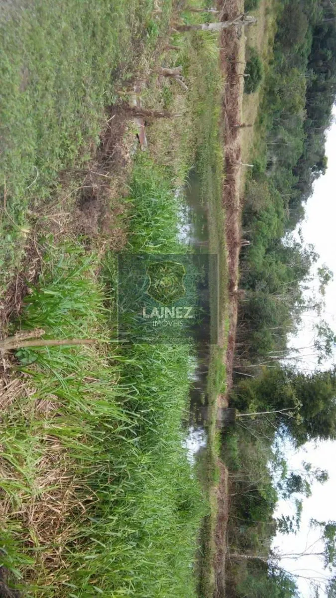 Small farm for sale of 120 acres in Iguape, SP, Brazil