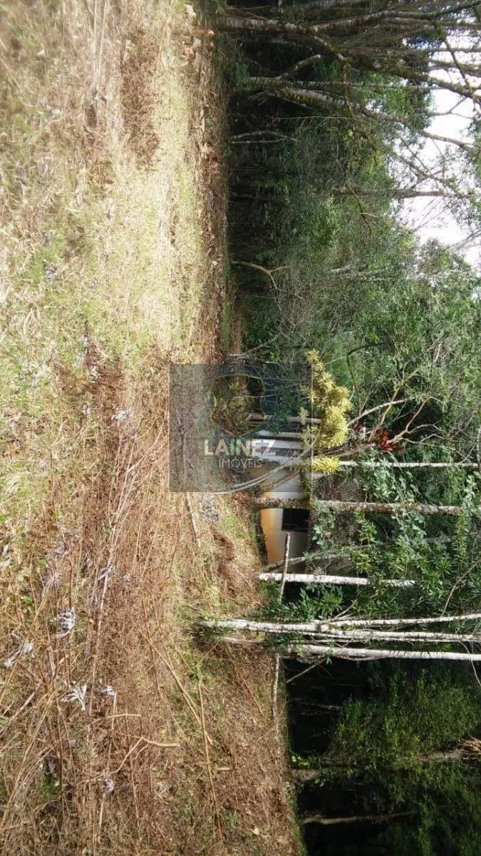 Small farm for sale of 120 acres in Iguape, SP, Brazil