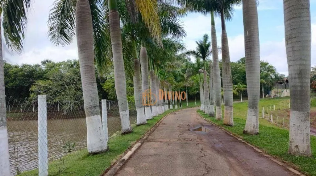 Fazenda à venda de 123 ha em Angatuba, SP, Brasil