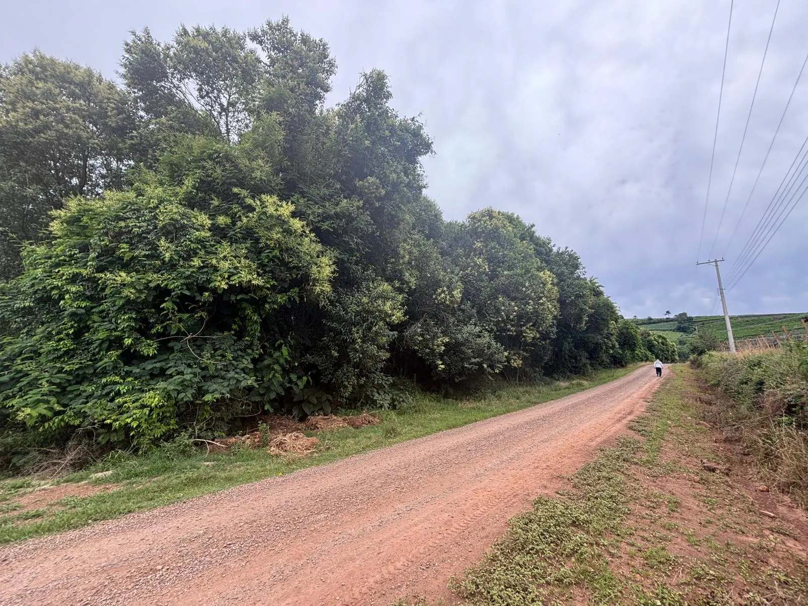 Terreno à venda de 4 ha em Farroupilha, RS, Brasil