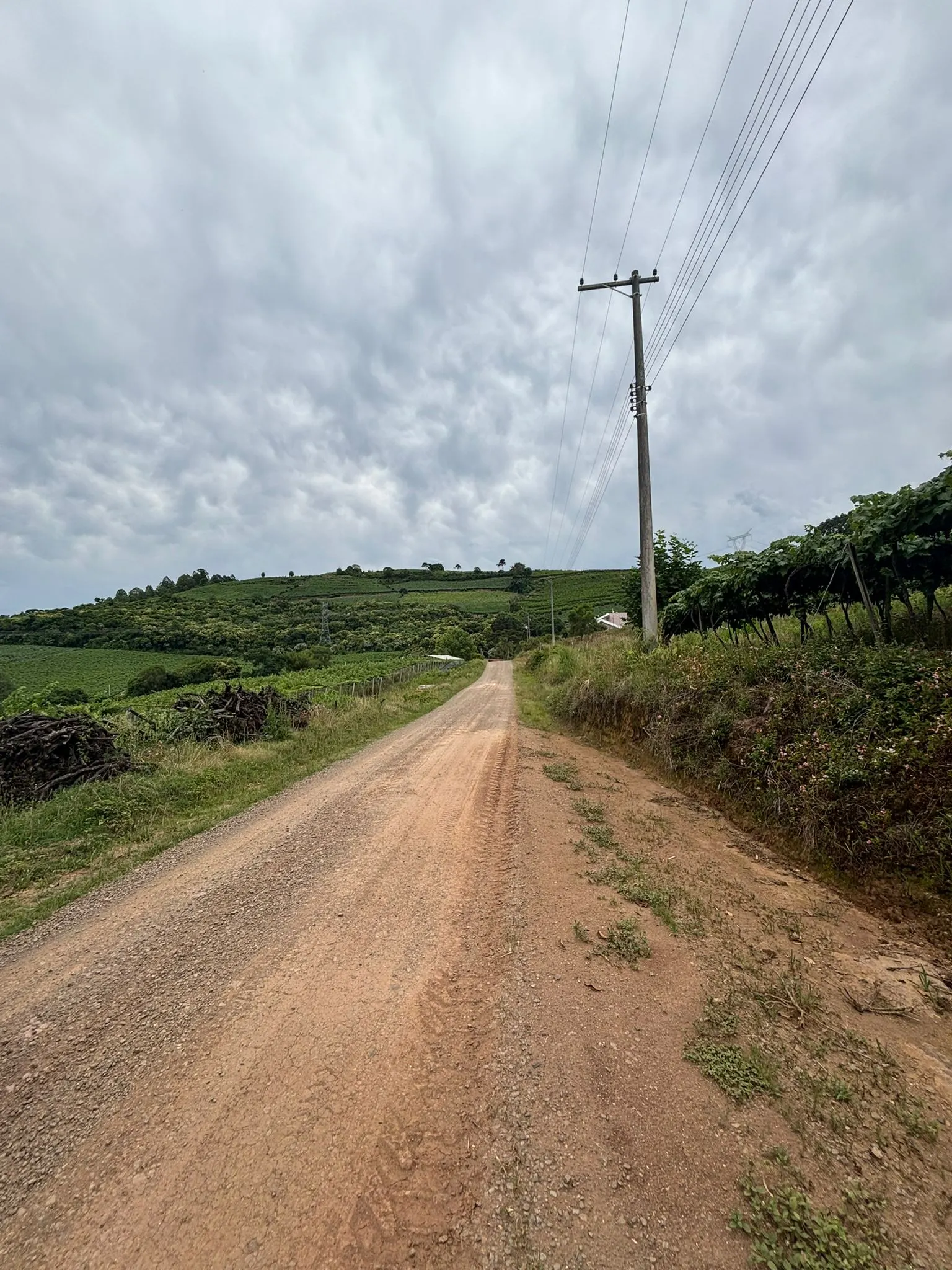 Terreno à venda de 4 ha em Farroupilha, RS, Brasil