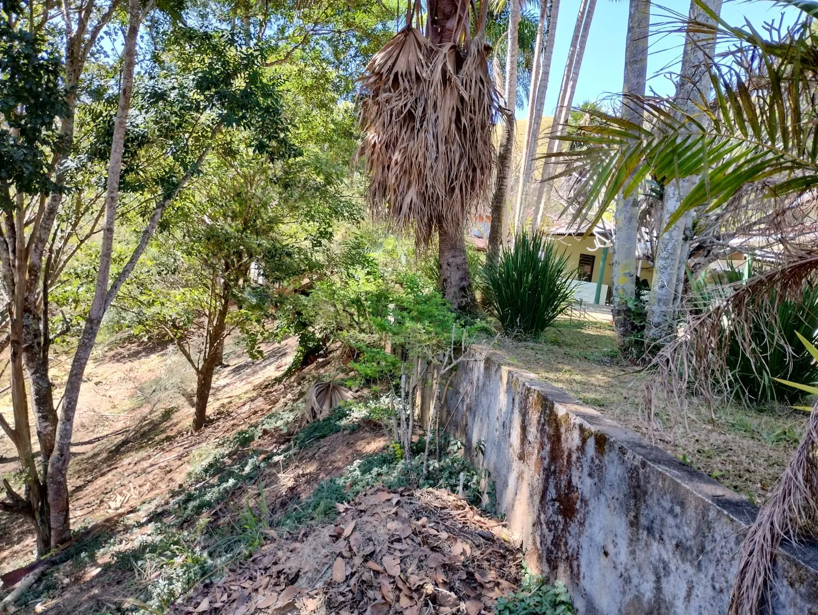 Sítio à venda de 3 ha em Monteiro Lobato, SP, Brasil