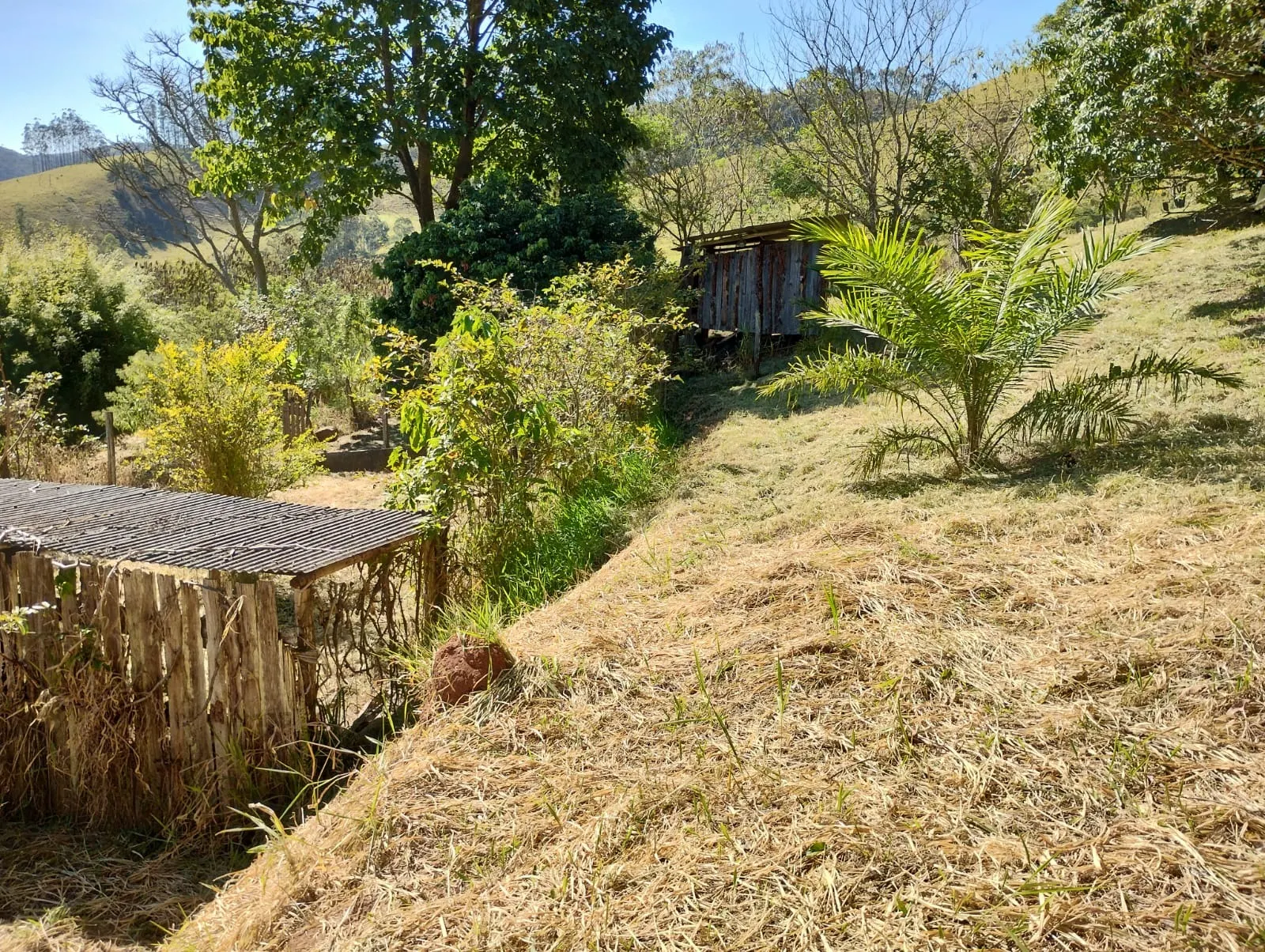 Sítio à venda de 3 ha em Monteiro Lobato, SP, Brasil