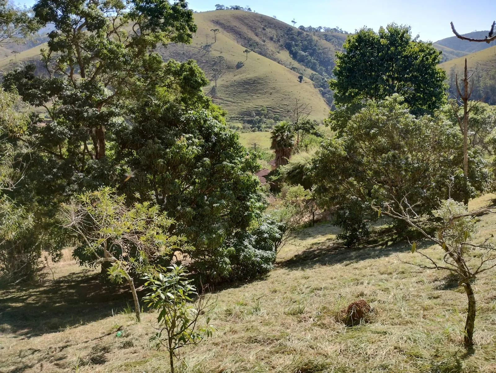 Sítio à venda de 3 ha em Monteiro Lobato, SP, Brasil