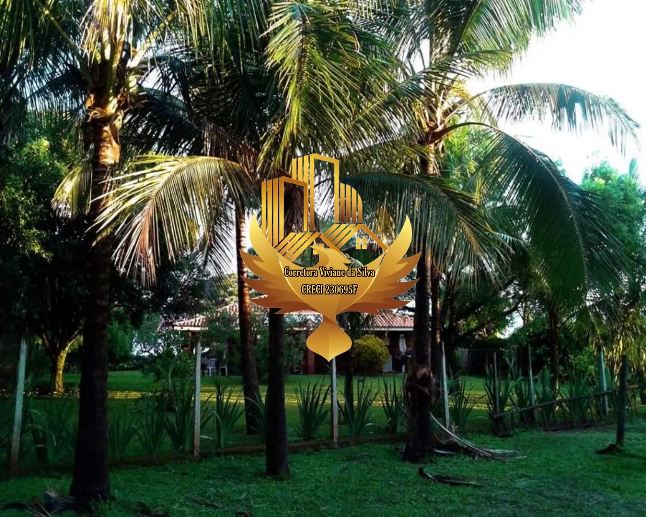 Small farm for sale of 5 acres in Franca, SP, Brazil
