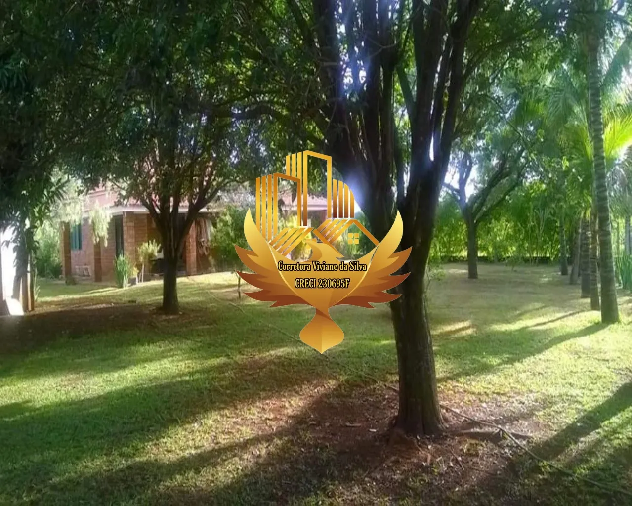 Small farm for sale of 5 acres in Franca, SP, Brazil