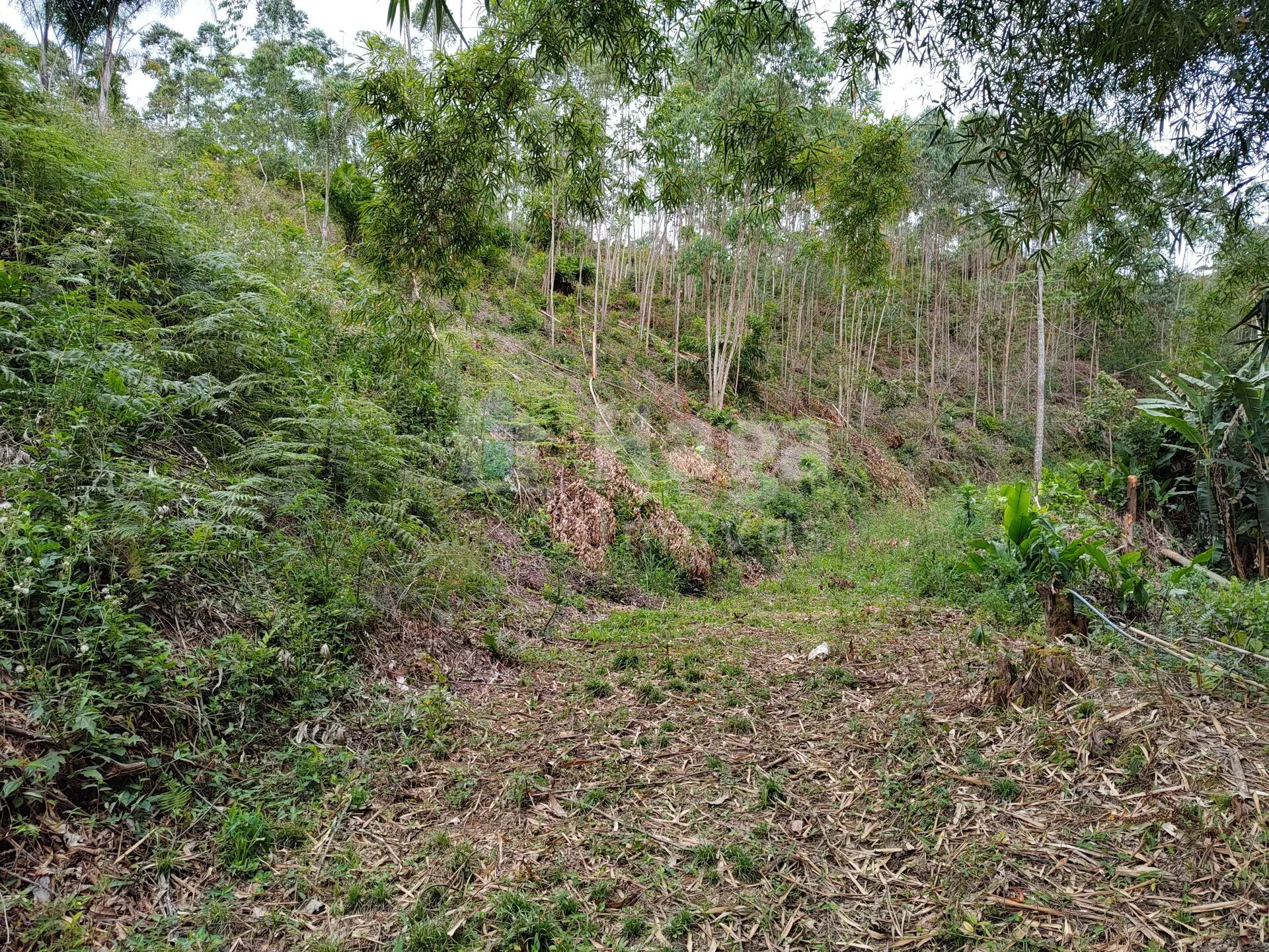 Chácara à venda de 3 ha em Botuverá, SC, Brasil