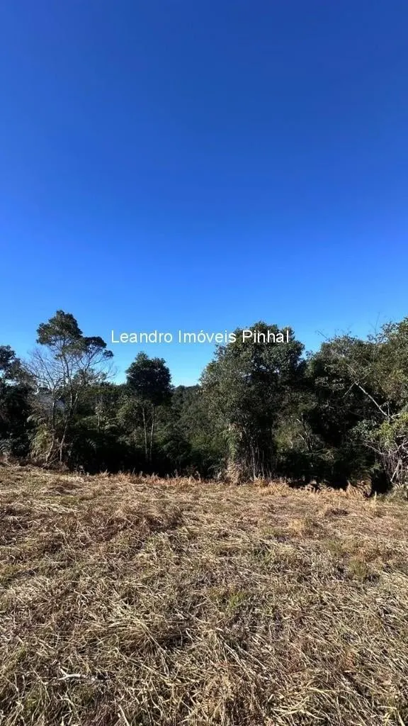 Sítio à venda de 4 ha em Santo Antônio do Pinhal, SP, Brasil