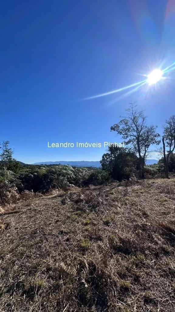 Sítio à venda de 4 ha em Santo Antônio do Pinhal, SP, Brasil