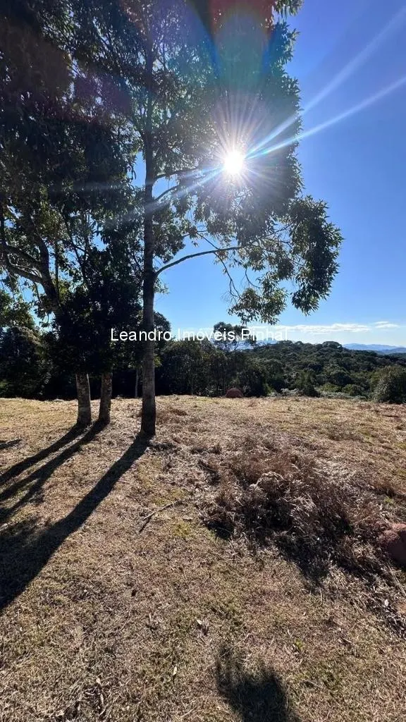 Sítio à venda de 4 ha em Santo Antônio do Pinhal, SP, Brasil