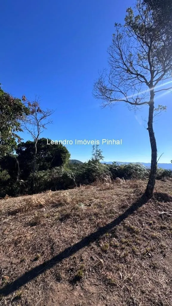 Sítio à venda de 4 ha em Santo Antônio do Pinhal, SP, Brasil