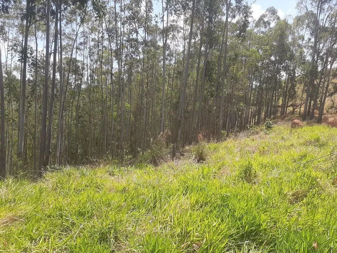 Fazenda à venda de 200 ha em Paraibuna, SP, Brasil