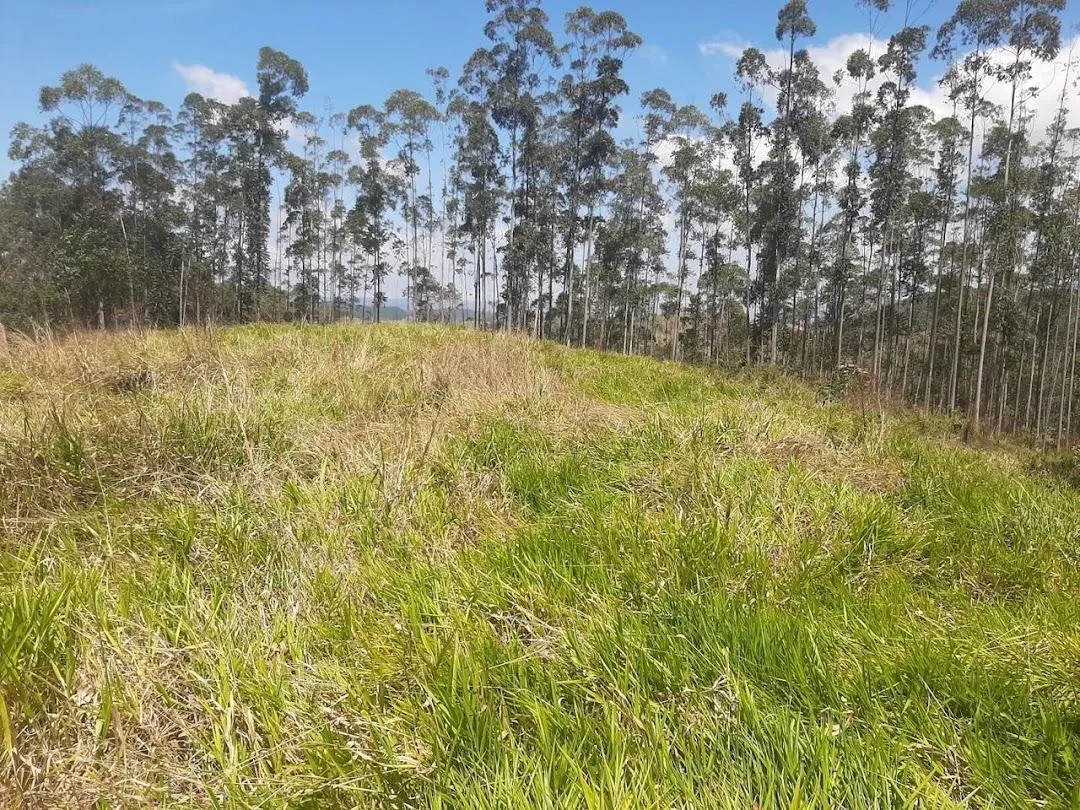 Fazenda à venda de 200 ha em Paraibuna, SP, Brasil