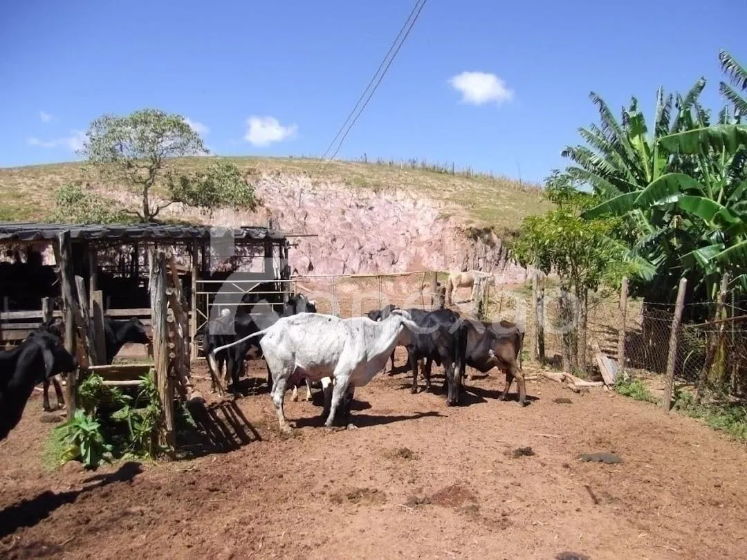 Fazenda à venda de 200 ha em Paraibuna, SP, Brasil
