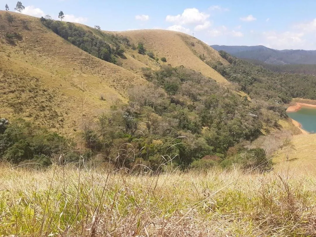 Fazenda à venda de 200 ha em Paraibuna, SP, Brasil