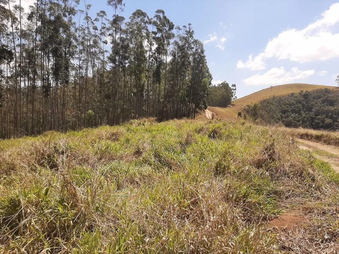 Fazenda à venda de 200 ha em Paraibuna, SP, Brasil