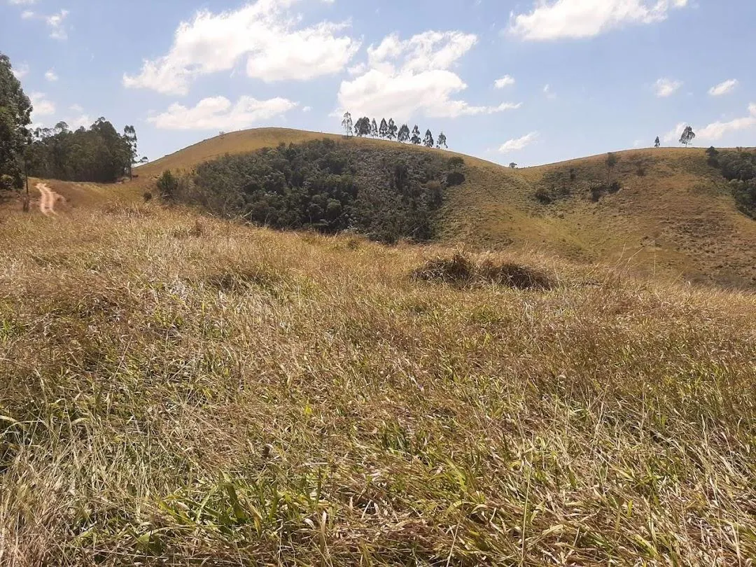 Fazenda à venda de 200 ha em Paraibuna, SP, Brasil