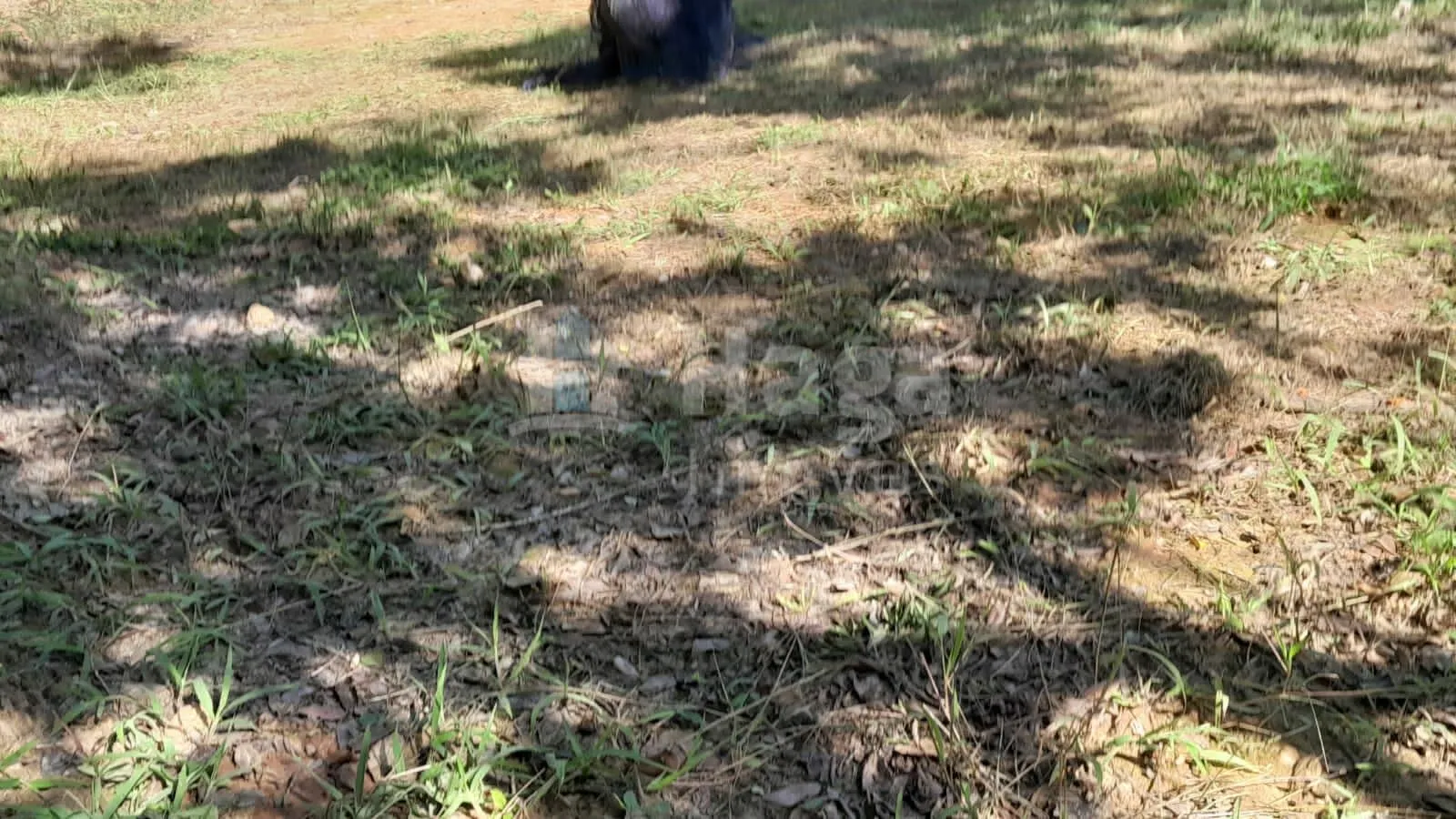 Farm for sale of 2,947 m² in Itajaí, SC, Brazil