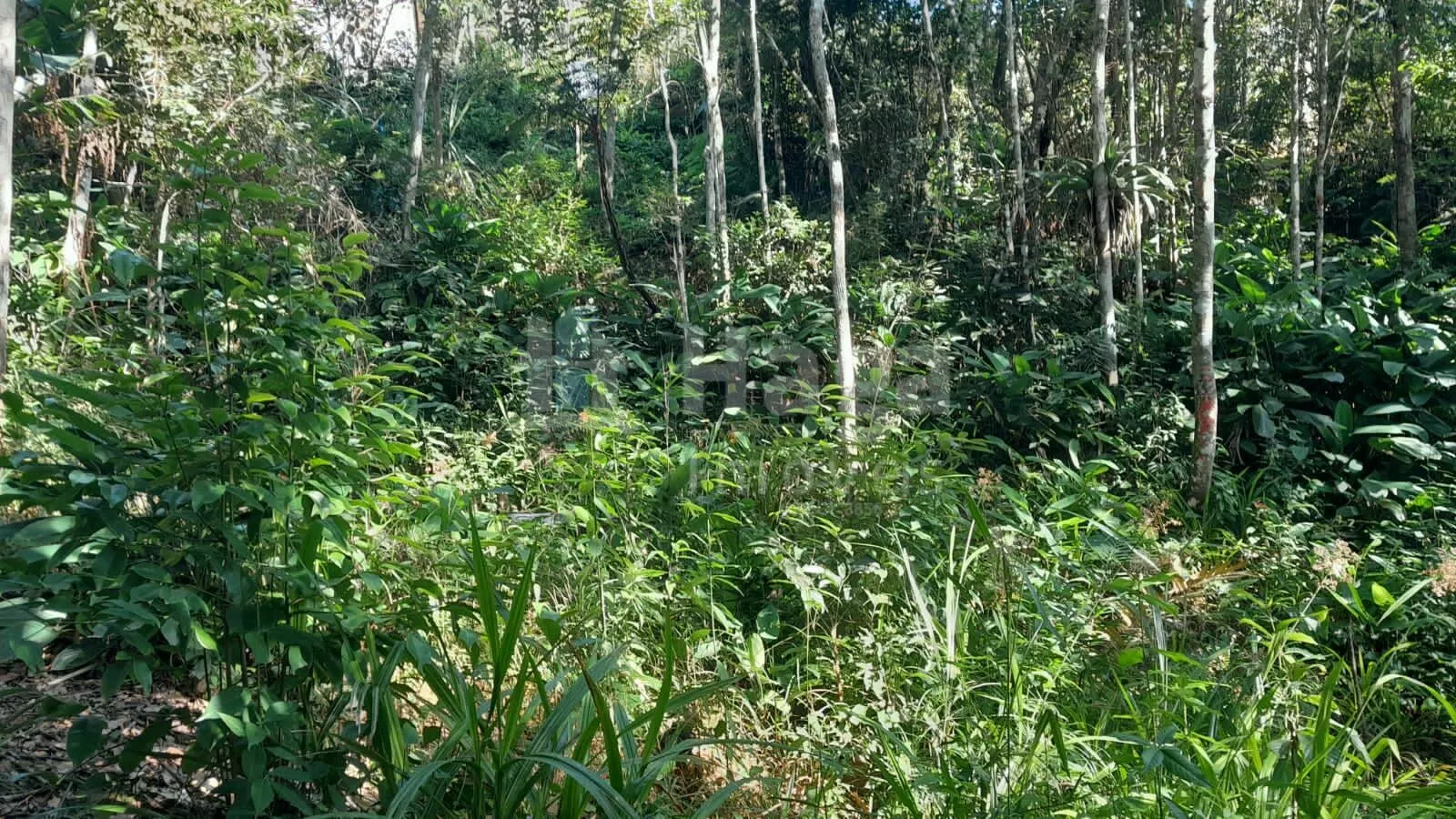 Farm for sale of 2,947 m² in Itajaí, SC, Brazil