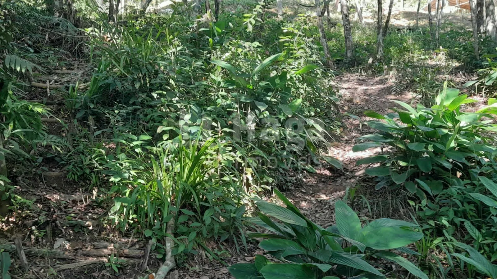 Farm for sale of 2,947 m² in Itajaí, SC, Brazil