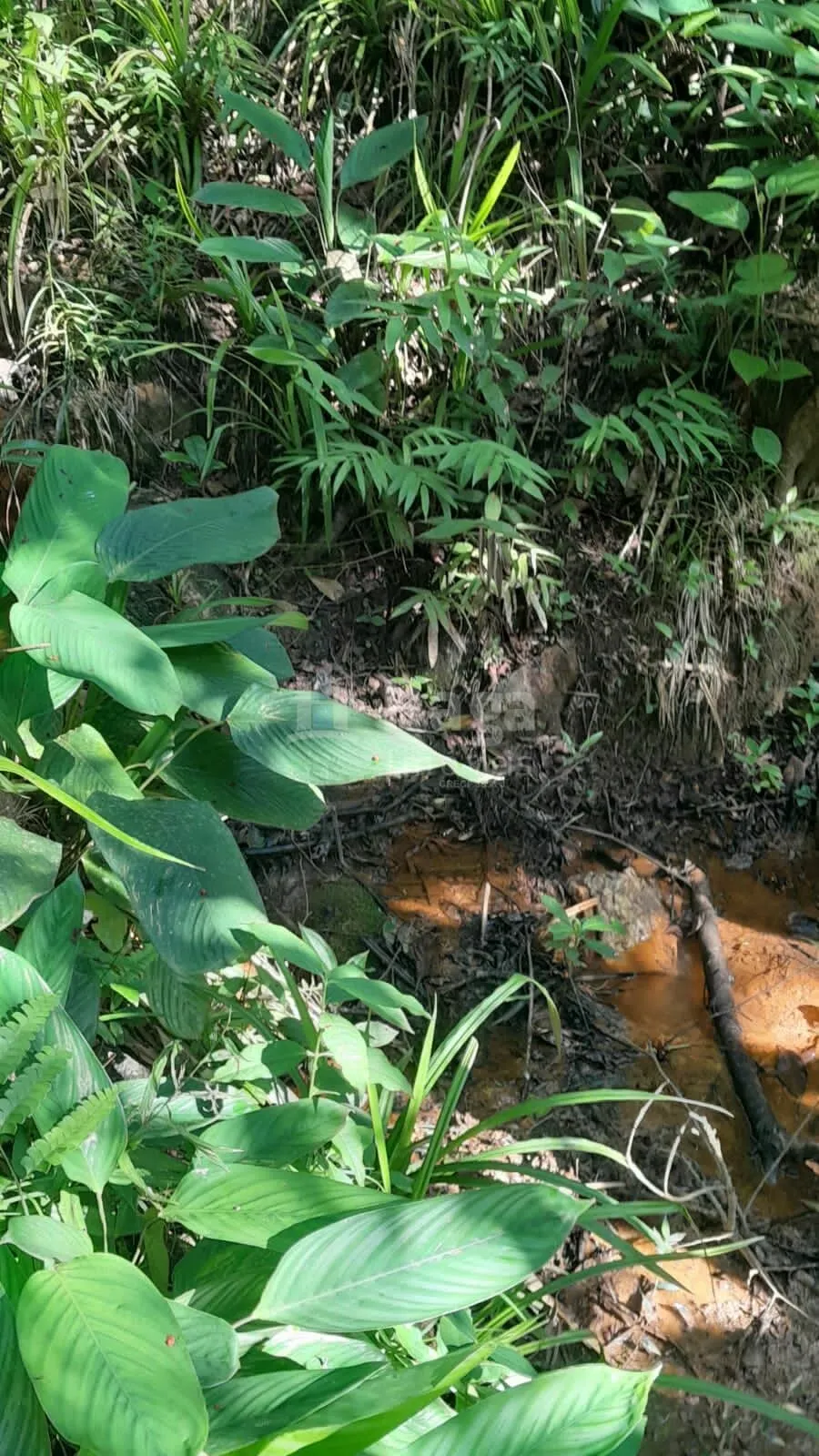 Farm for sale of 2,947 m² in Itajaí, SC, Brazil