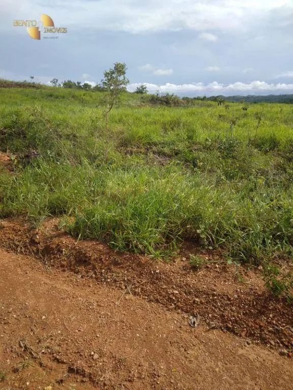 Fazenda à venda de 2.420 ha em Nova Brasilândia, MT, Brasil