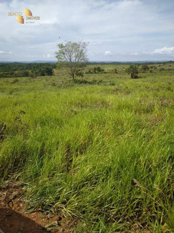 Fazenda à venda de 2.420 ha em Nova Brasilândia, MT, Brasil