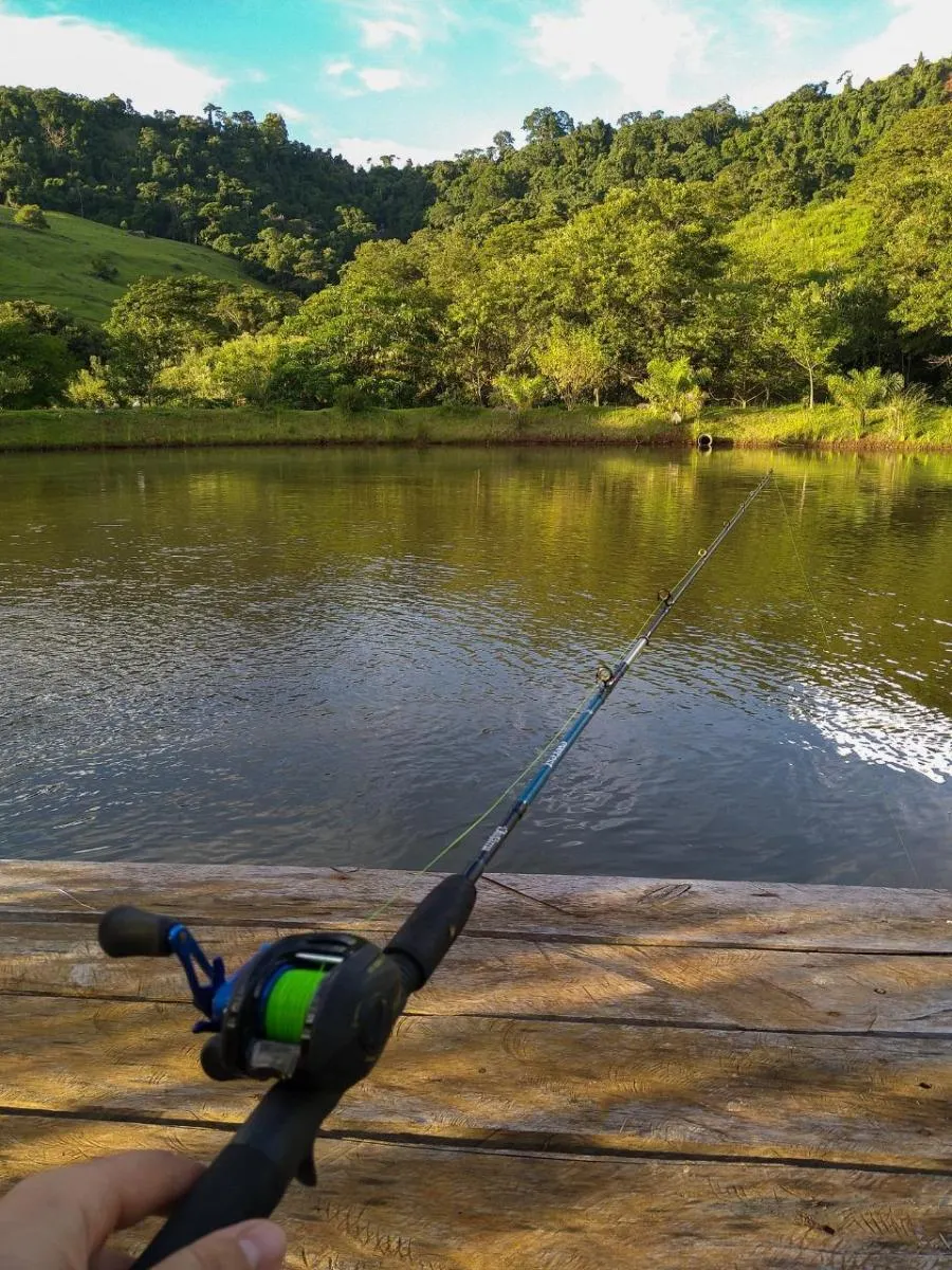 Chácara à venda de 2 ha em Pardinho, SP, Brasil
