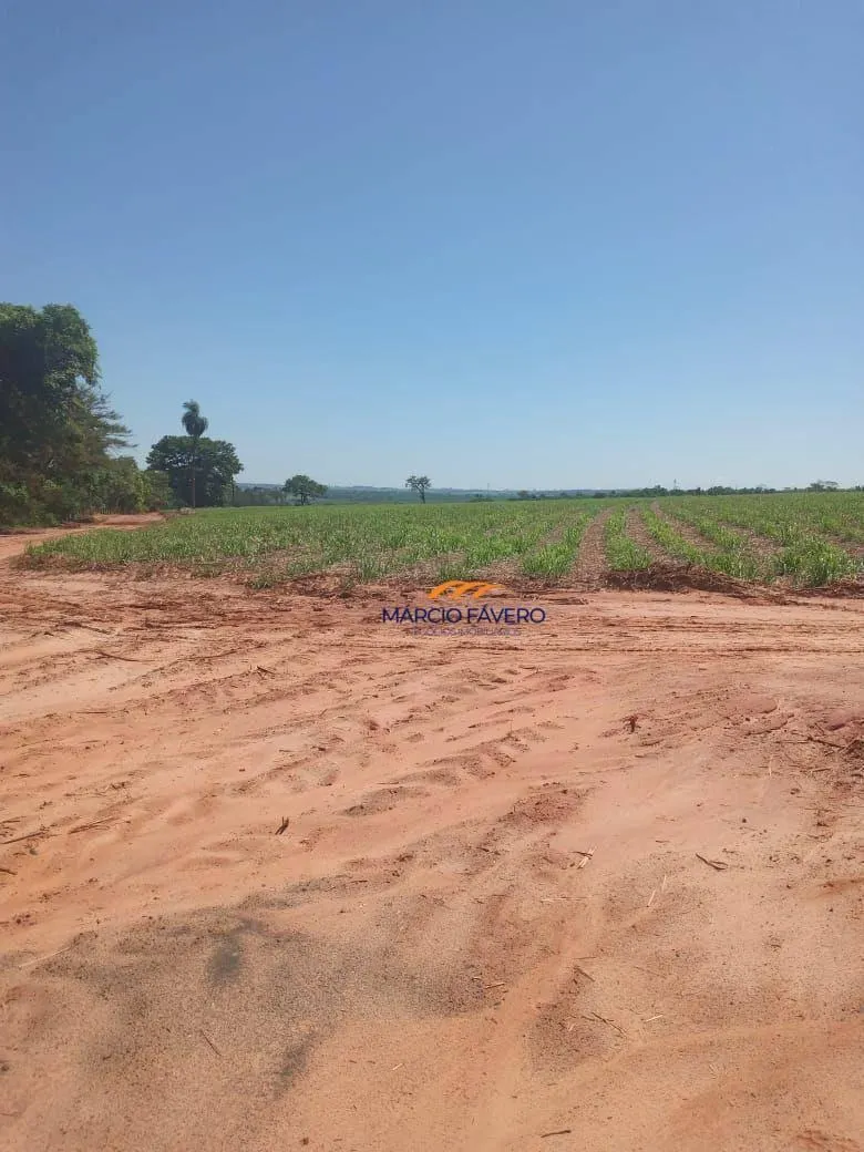 Fazenda à venda de 385 ha em Valentim Gentil, SP, Brasil