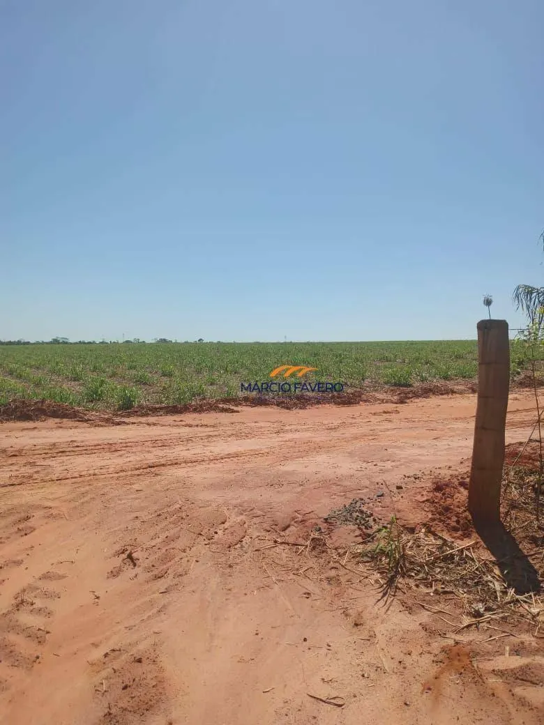 Fazenda à venda de 385 ha em Valentim Gentil, SP, Brasil