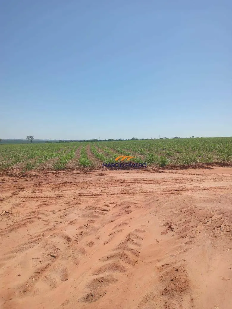 Fazenda à venda de 385 ha em Valentim Gentil, SP, Brasil