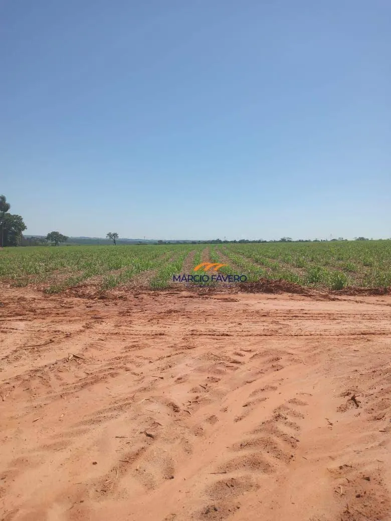 Fazenda à venda de 385 ha em Valentim Gentil, SP, Brasil