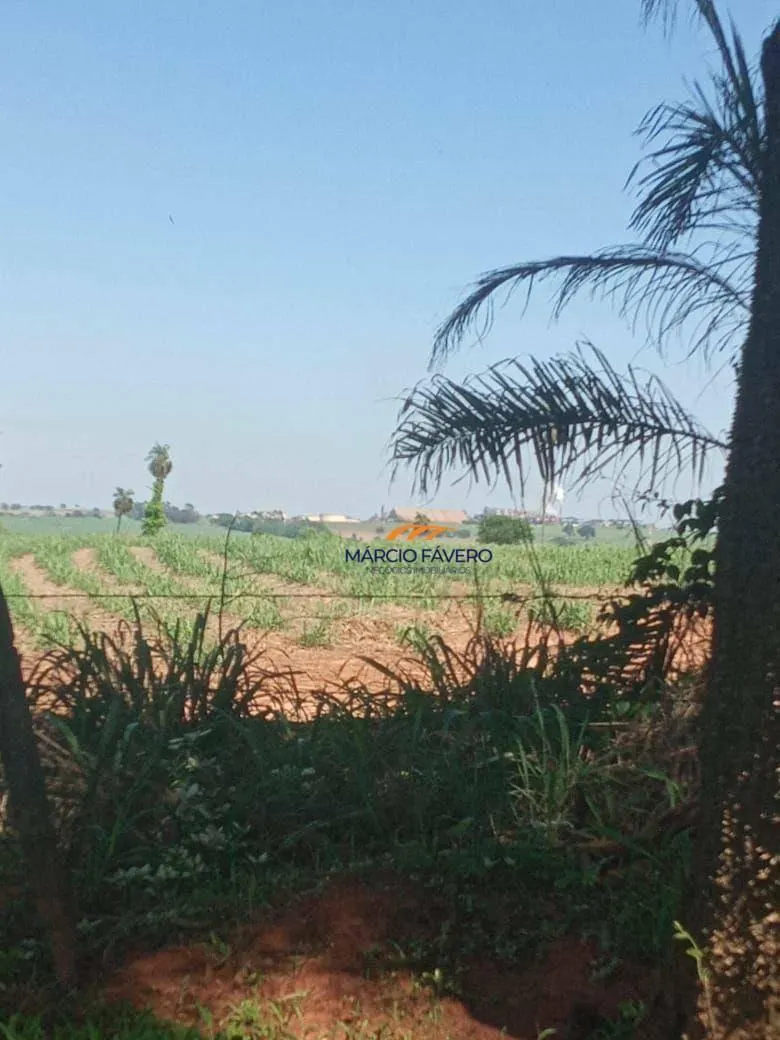 Fazenda à venda de 385 ha em Valentim Gentil, SP, Brasil