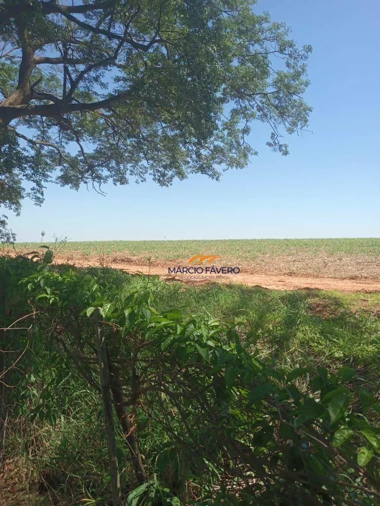 Fazenda à venda de 385 ha em Valentim Gentil, SP, Brasil