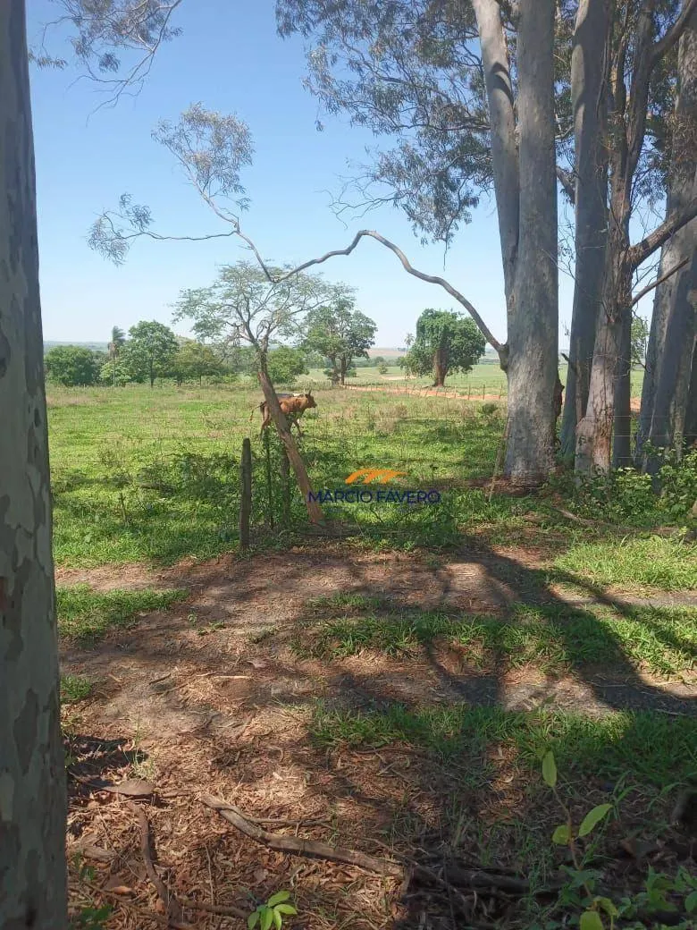Fazenda à venda de 385 ha em Valentim Gentil, SP, Brasil