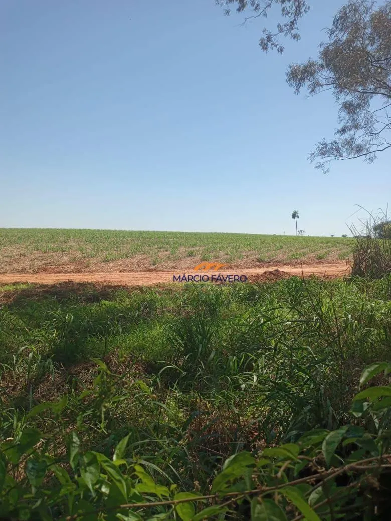 Fazenda à venda de 385 ha em Valentim Gentil, SP, Brasil