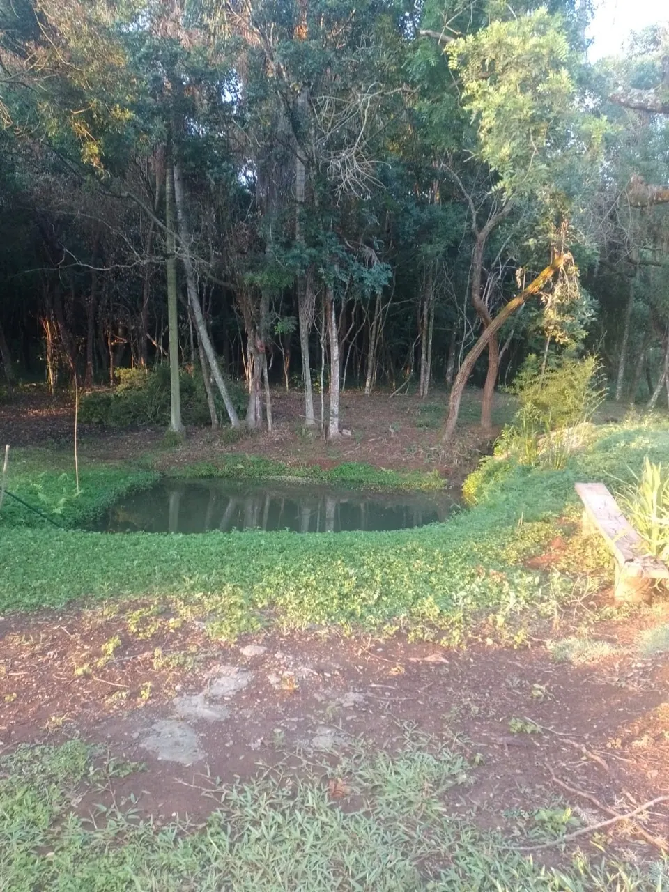 Chácara à venda de 7.500 m² em Guareí, SP, Brasil